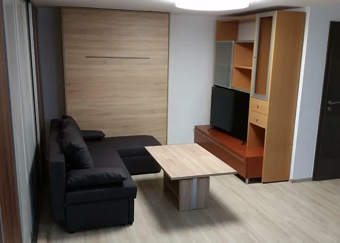 Sandra アパート ホッケンハイム